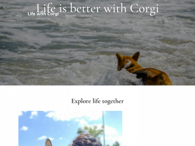 lifewithcorgi.com snapshot