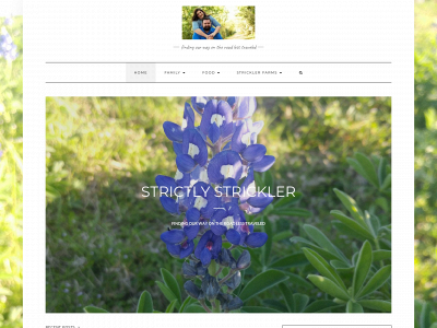 strictlystrickler.com snapshot