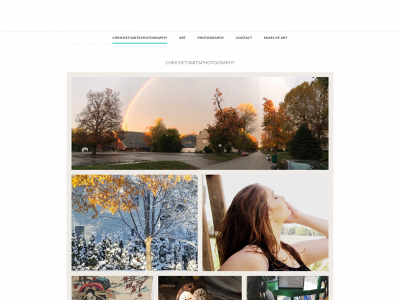chricket3.weebly.com snapshot