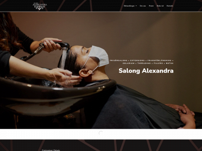 salongalexandra.nu snapshot