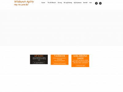 wildbunchagility.se snapshot