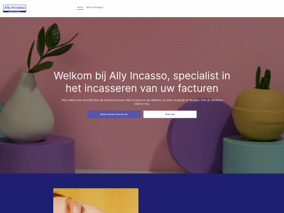 allyincasso.nl snapshot
