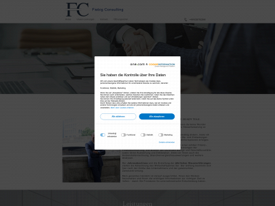 fiebig-consulting.com snapshot