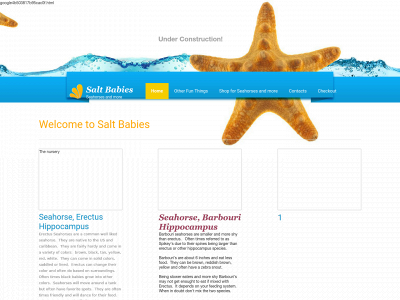 saltbabies.com snapshot