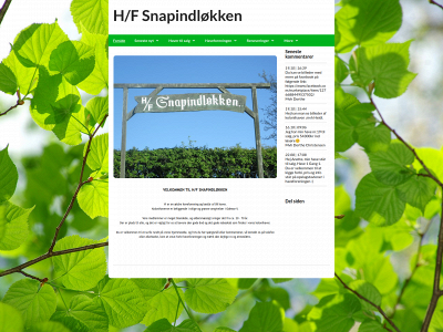 snapindloekken.dk snapshot