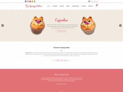spongybakes.com snapshot