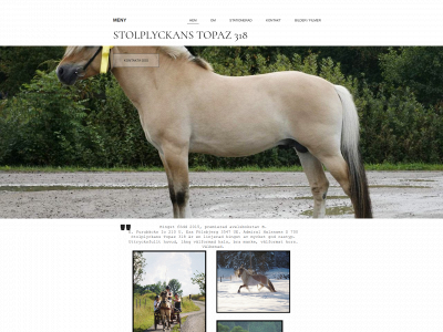 stolplyckanstopaz.se snapshot