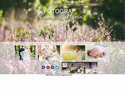 linneadahlgren.se snapshot