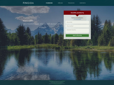 fingida.lt snapshot