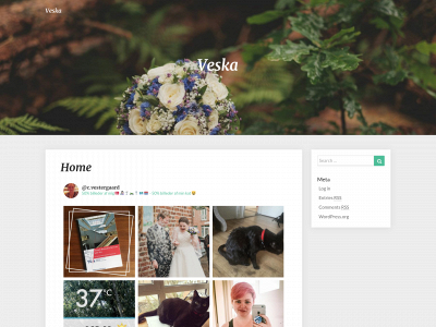 veska.dk snapshot