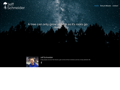 thejeffschneider.com snapshot
