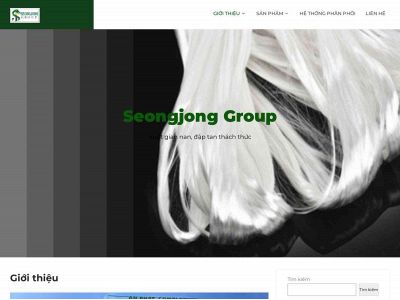 seongjonggroup.com snapshot