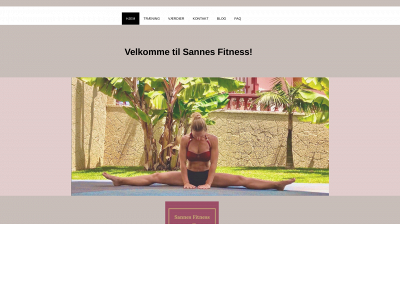 sannesfitness.dk snapshot