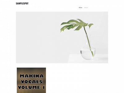 simpleorserious.weebly.com snapshot