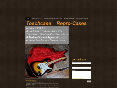 toschcase.com snapshot