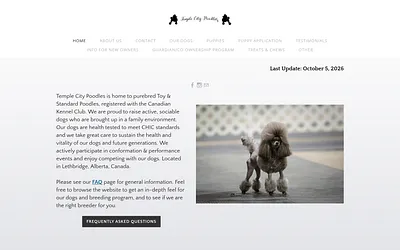 www.templecitypoodles.ca snapshot