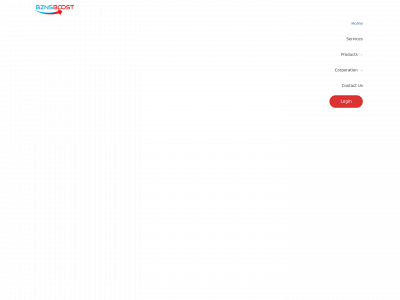 bznsboost.com snapshot