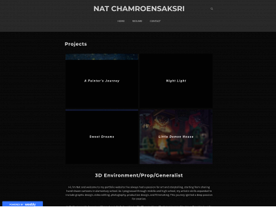 natvis.weebly.com snapshot
