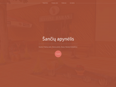 sanciuapynelis.lt snapshot