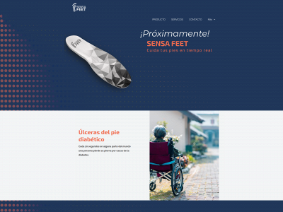 sensafeet.com snapshot