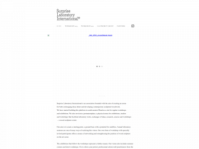 surpriselab.com snapshot