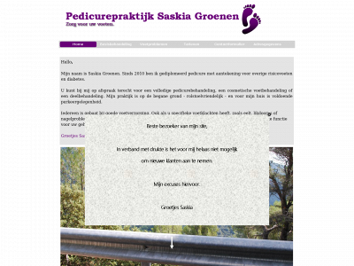 saskiagroenen.nl snapshot