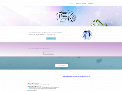 tingsrydsskridskoklubb.se snapshot