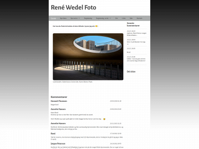 renewedel.dk snapshot