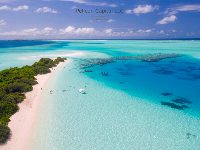 pelcapllc.com snapshot