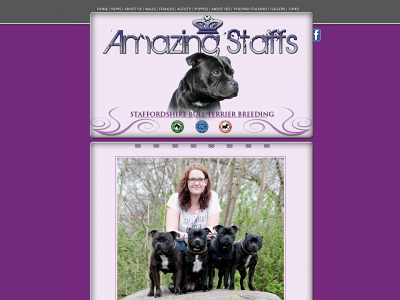 amazingstaffs.dk snapshot