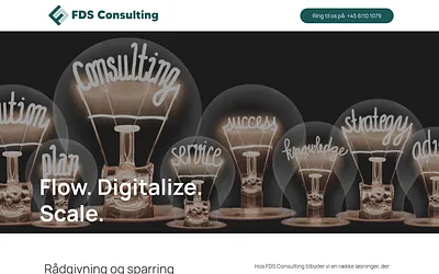fdsconsulting.dk snapshot