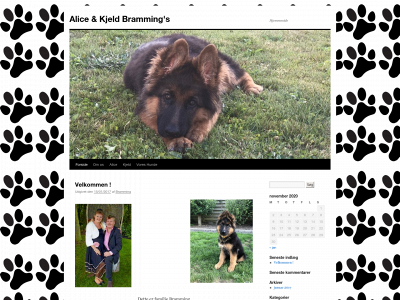 akbramming.dk snapshot