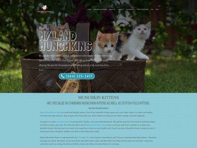 mylandmunchkins.io snapshot