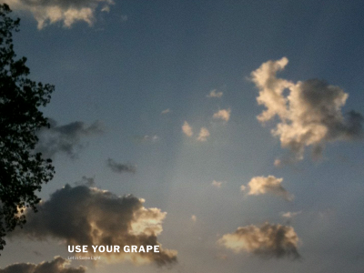 useyourgrape.com snapshot