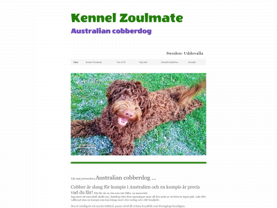 zoulmate.com snapshot