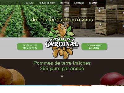 ptcardinal.ca snapshot