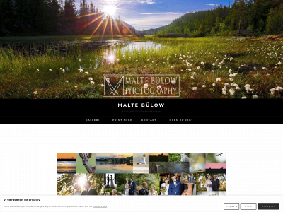 maltebp.com snapshot