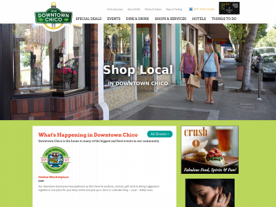 downtownchico.com snapshot