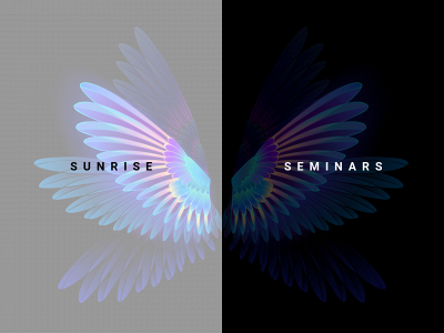 sunrise-seminars.com snapshot