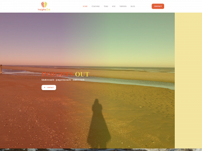 insightsout.be snapshot
