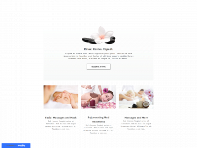 roachrecords.weebly.com snapshot