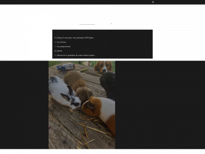oxygene13.fr snapshot