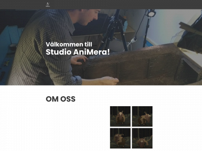studioanimera.com snapshot