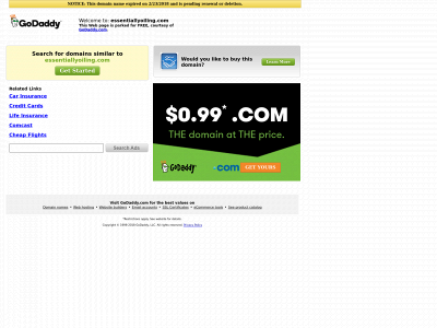 essentiallyoiling.com snapshot