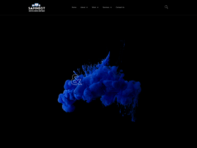 www.samnect.com snapshot