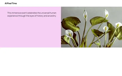 pixeltime.nl snapshot