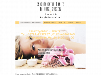escortagentur-bonitzagency.com snapshot