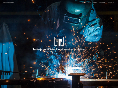 terastyonaumanen.fi snapshot