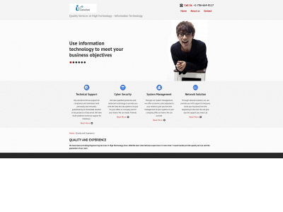 www.it-consultant.us snapshot