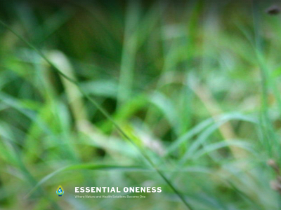 essentialoneness.net snapshot